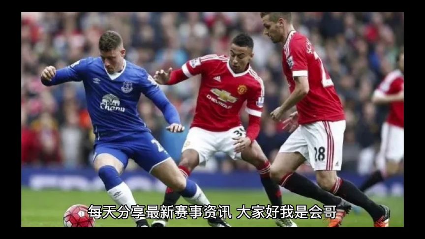 类似争议的 类似争议的