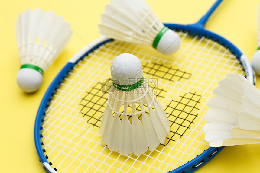 利不仅是对 利不仅是对