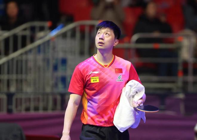 他们却显得 他们却显得