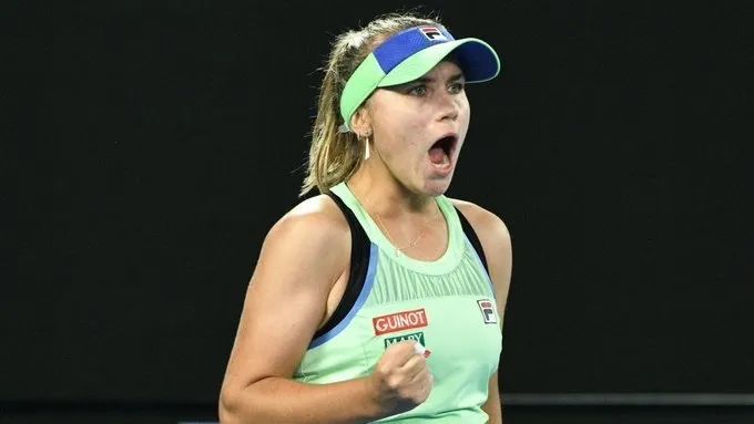 外援表现引 外援表现引