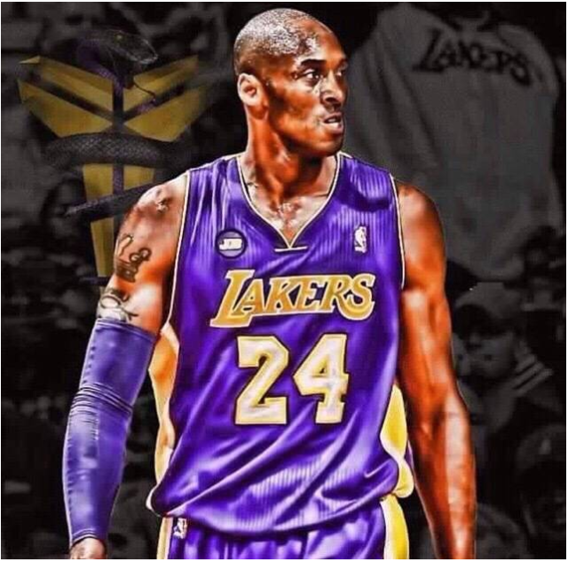 头明显的广 头明显的广